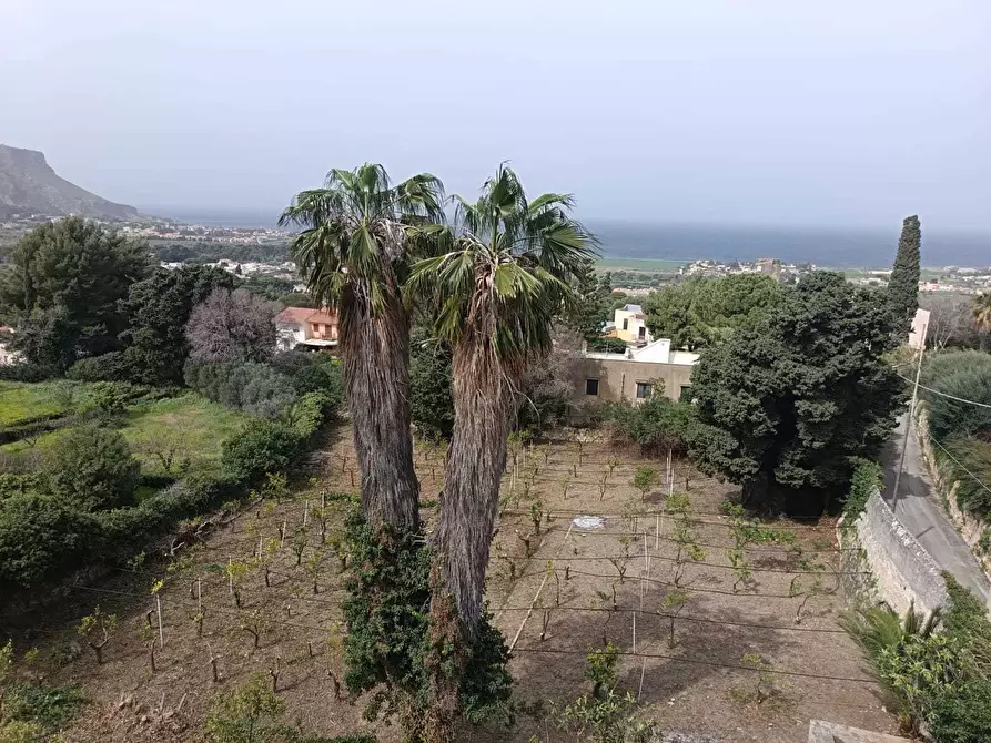 Immagine 43 di Villa in vendita  a Valderice