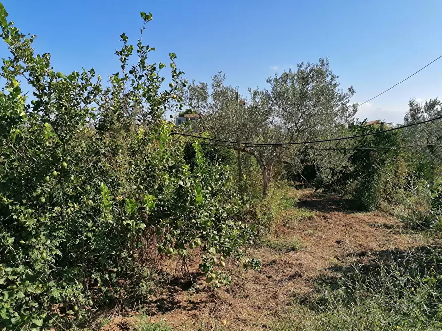 Immagine 33 di Rustico / casale in vendita  a Partinico