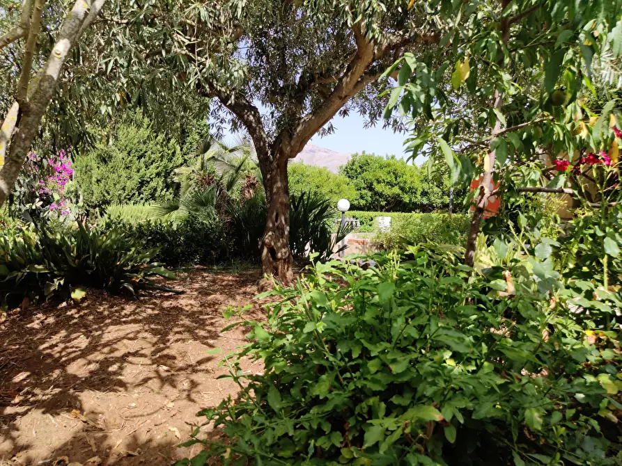 Immagine 66 di Villa in vendita  a Castellammare Del Golfo