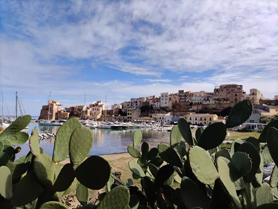 Immagine 31 di Pizzeria / Pub in vendita  in Via Don Leonardo Zangara 999 a Castellammare Del Golfo