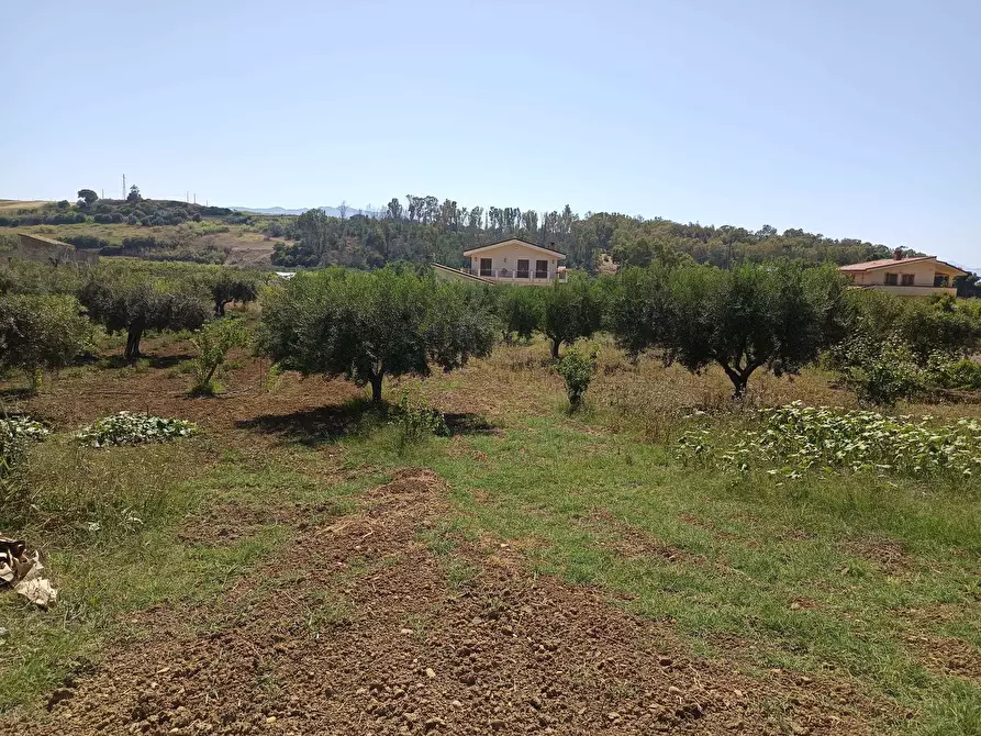 Immagine 8 di Terreno agricolo in vendita  a Balestrate