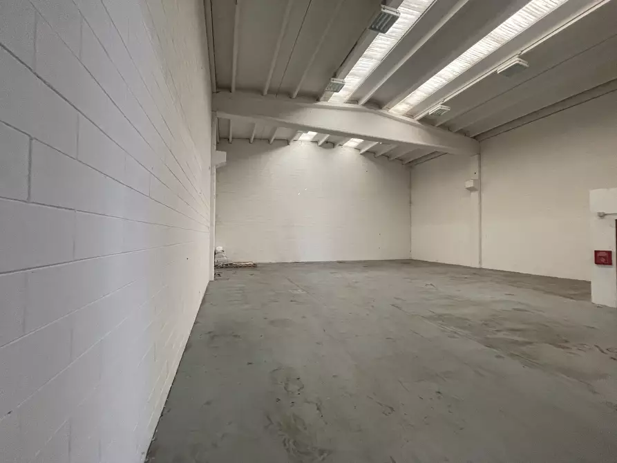 Immagine 11 di Capannone industriale in affitto  in VIA VARALLI 49 a Codogno