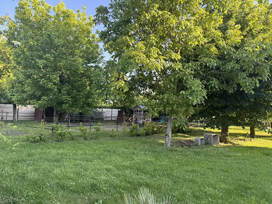 Immagine 5 di Capannone industriale in vendita  in Via Oriolo 3 a Castelleone