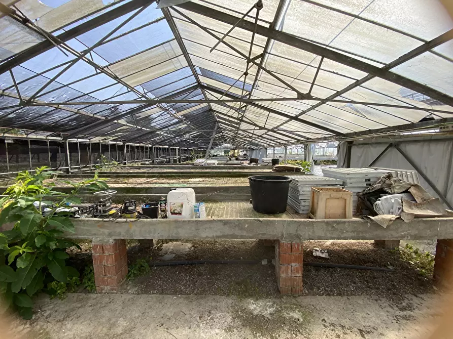 Immagine 7 di Terreno agricolo in vendita  in VIA CERCA 2 a Settala