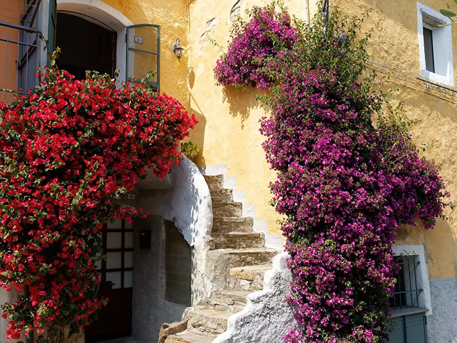 Immagine 1 di Porzione di casa in vendita  in Via Ruvoa 4 a San Bartolomeo Al Mare