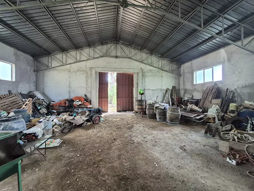 Immagine 23 di Casa indipendente in vendita  in Contrada San Filippo 7 a Pianopoli