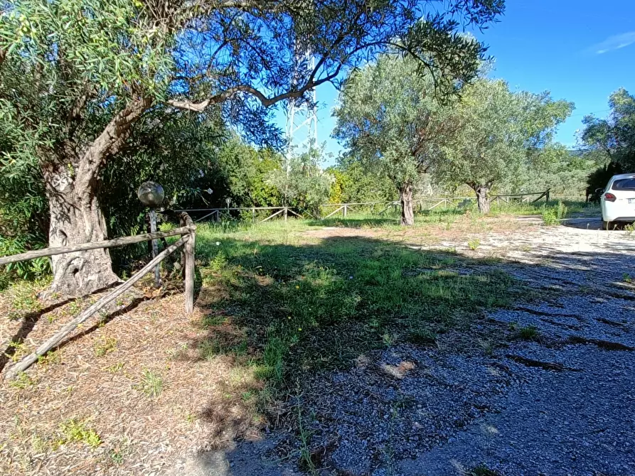 Immagine 5 di Palazzo in vendita  in Contrada Tavano a Pianopoli