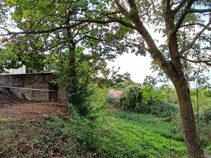 Immagine 7 di Showroom in vendita  in san mazzeo a Conflenti