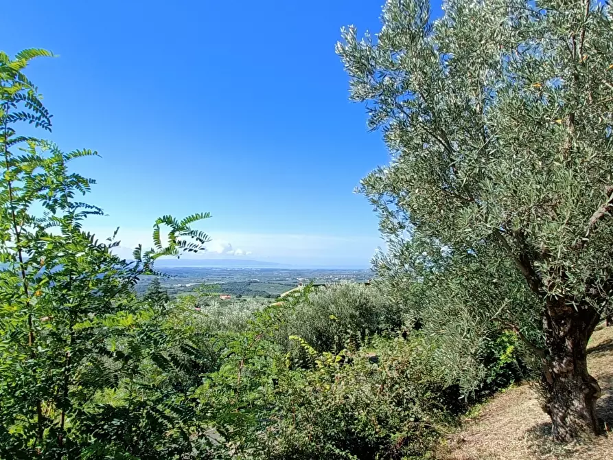 Immagine 20 di Villa in vendita  in SP79 a Feroleto Antico