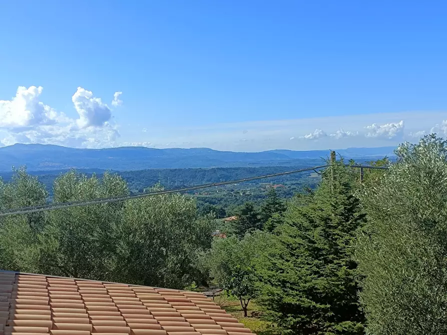 Immagine 13 di Villa in vendita  in SP79 a Feroleto Antico