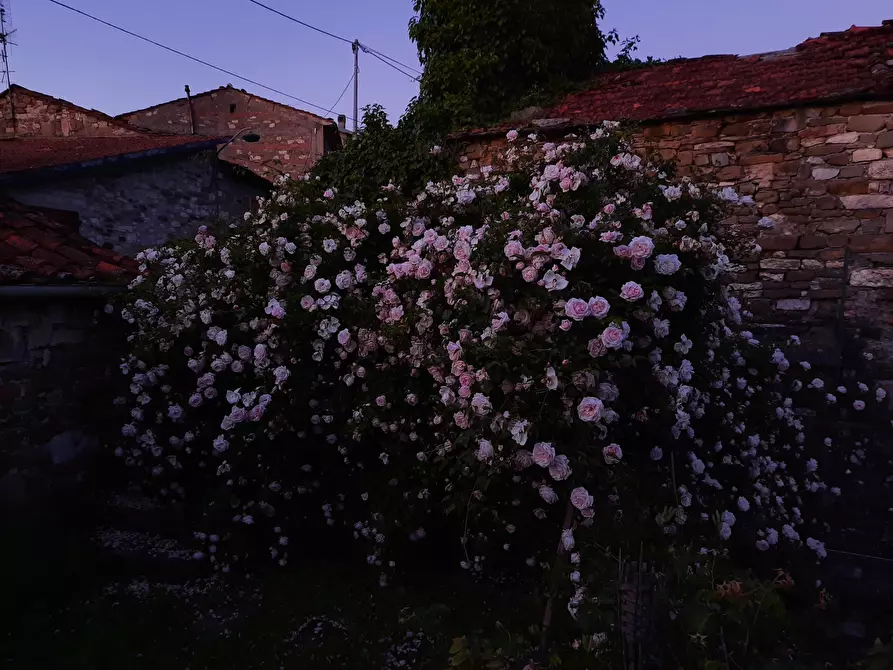 Immagine 53 di Casa indipendente in vendita  in Località Luscignano 18 a Casola In Lunigiana