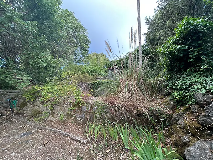 Immagine 14 di Rustico / casale in vendita  a Ameglia