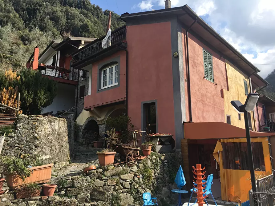 Immagine 3 di Rustico / casale in vendita  a Fosdinovo
