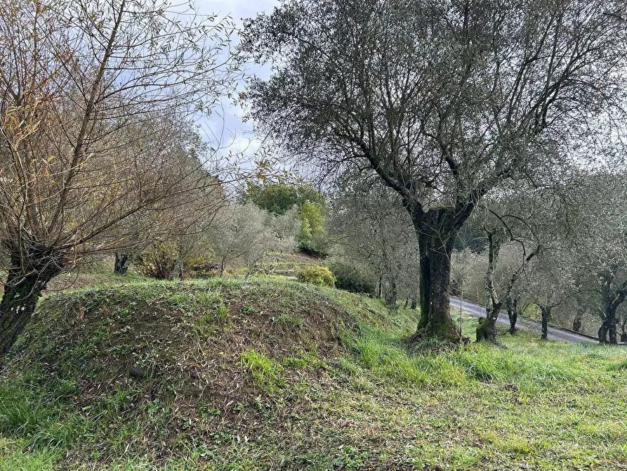 Immagine 25 di Casa bifamiliare in vendita  a Sarzana