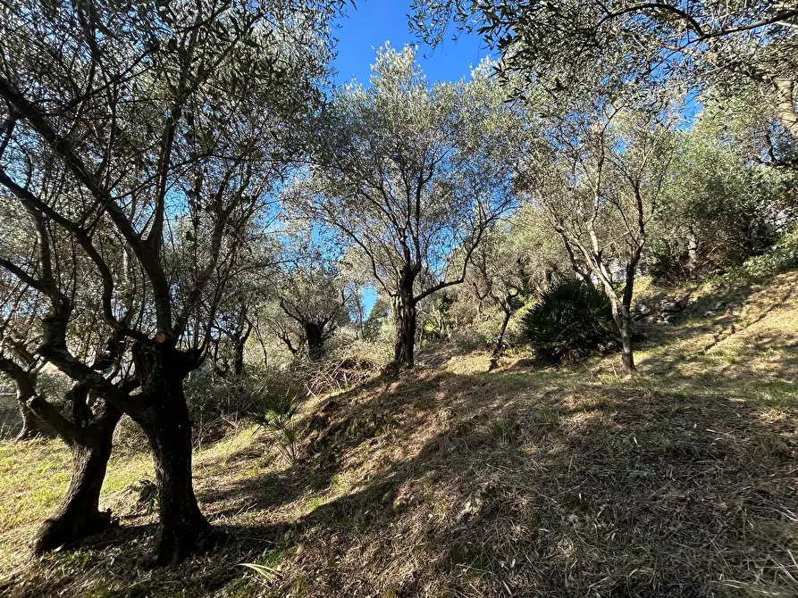 Immagine 12 di Terreno agricolo in vendita  in Via Giuseppe Garibaldi 51 a Lerici