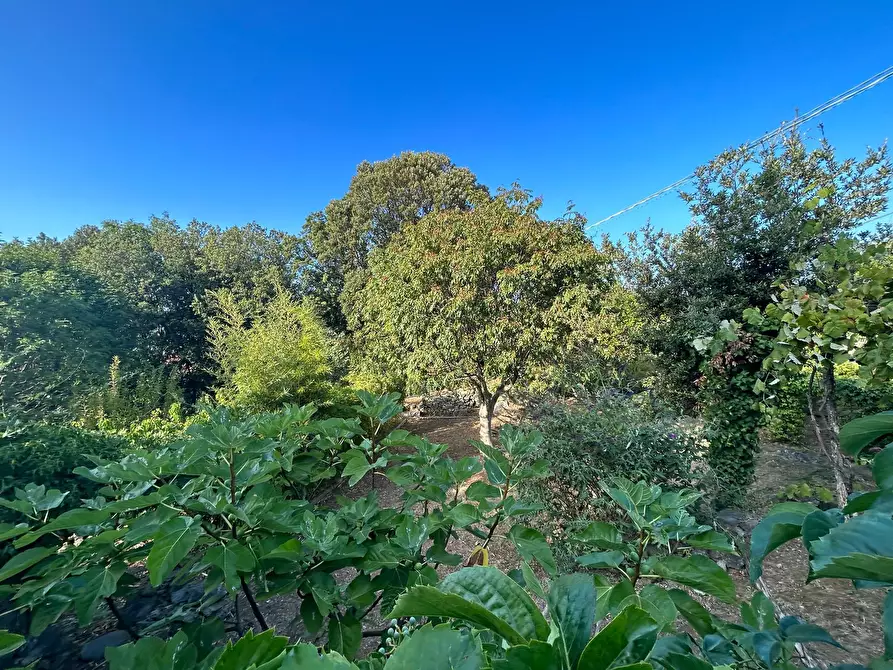 Immagine 23 di Rustico / casale in vendita  a Ameglia