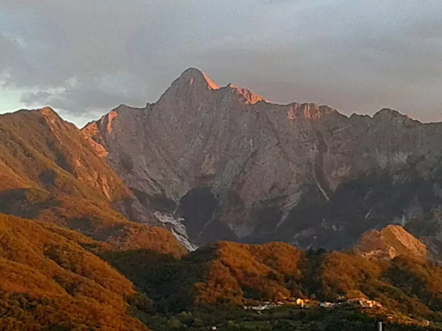 Immagine 58 di Terratetto in vendita  in Località Luscignano 18 a Casola In Lunigiana