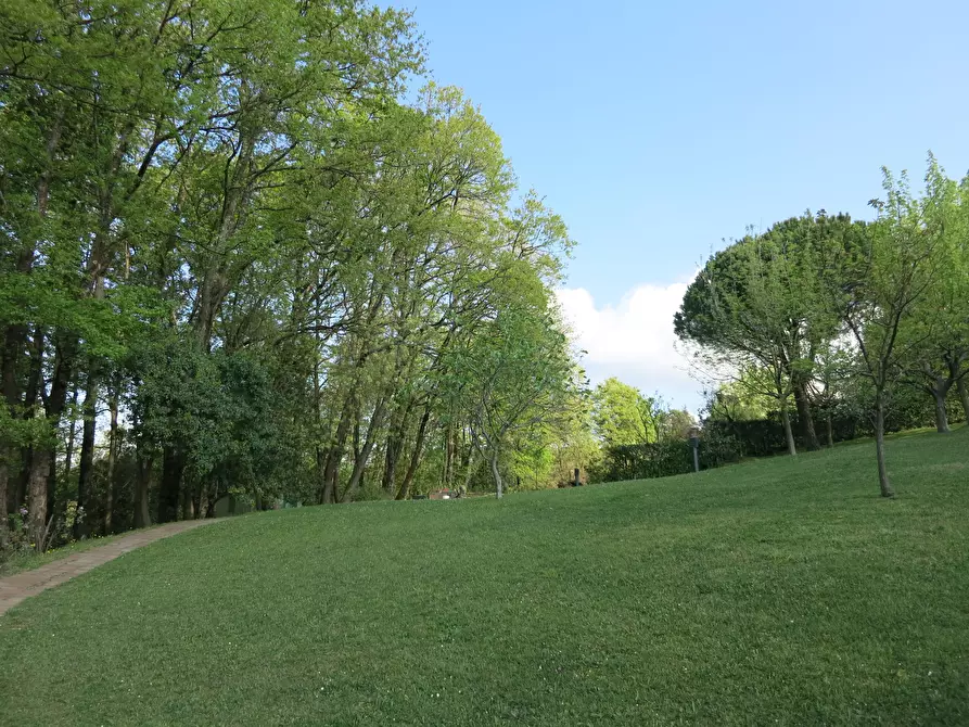 Immagine 23 di Villa in vendita  a Sarzana