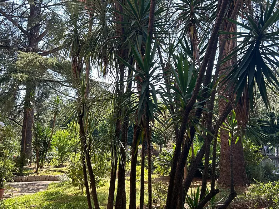 Immagine 9 di Pentalocale in vendita  a Sarzana