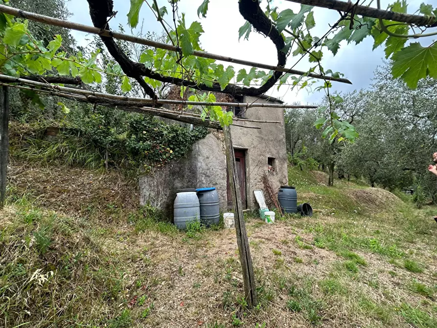 Immagine 2 di Terreno edificabile in vendita  a Arcola