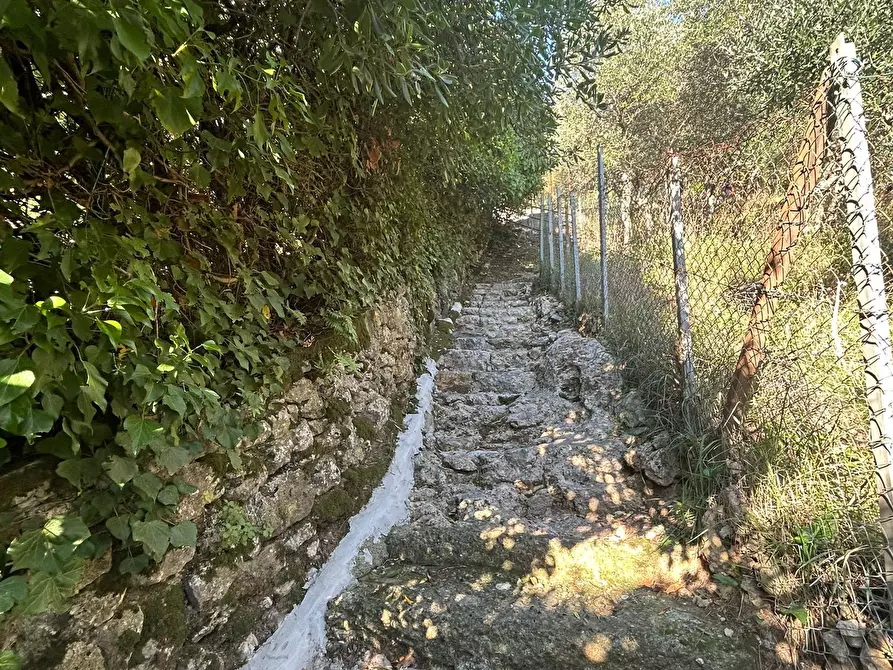Immagine 13 di Terreno agricolo in vendita  in Via Giuseppe Garibaldi 51 a Lerici