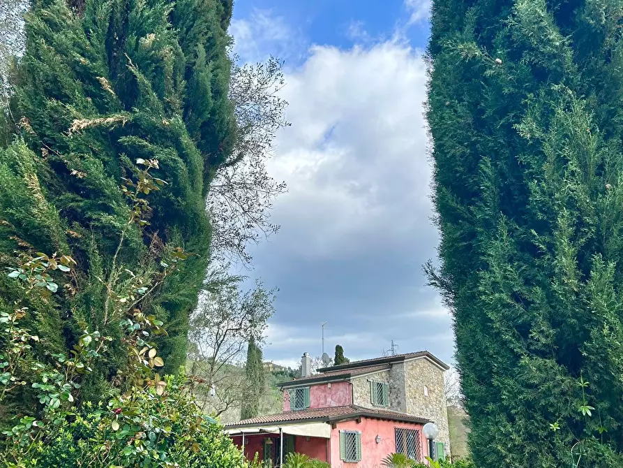 Immagine 3 di Casa indipendente in vendita  a Sarzana
