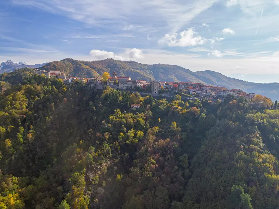 Immagine 36 di Villa in vendita  a Fosdinovo