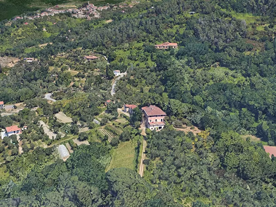 Immagine 3 di Villa in vendita  a Sarzana
