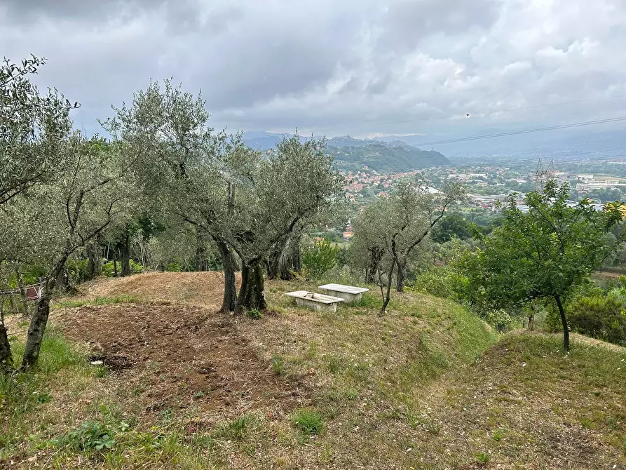 Immagine 16 di Terreno edificabile in vendita  a Arcola