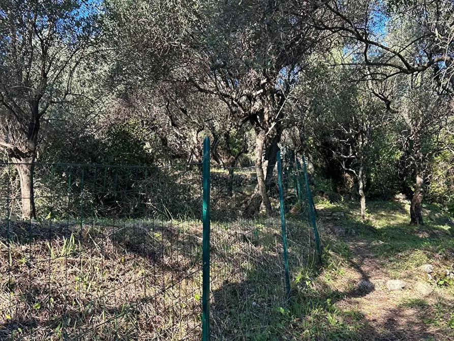 Immagine 11 di Terreno agricolo in vendita  in Via Giuseppe Garibaldi 51 a Lerici