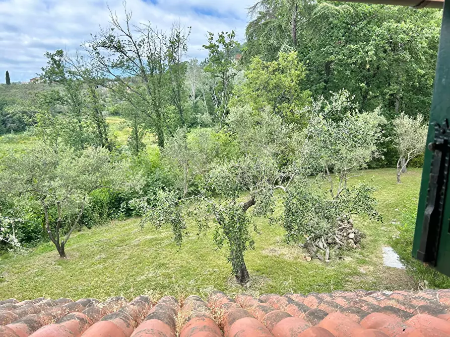 Immagine 13 di Casa indipendente in vendita  a Castelnuovo Magra