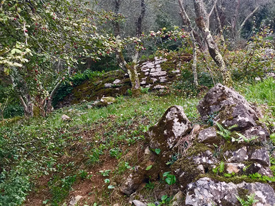 Immagine 5 di Monolocale in vendita  a Ameglia