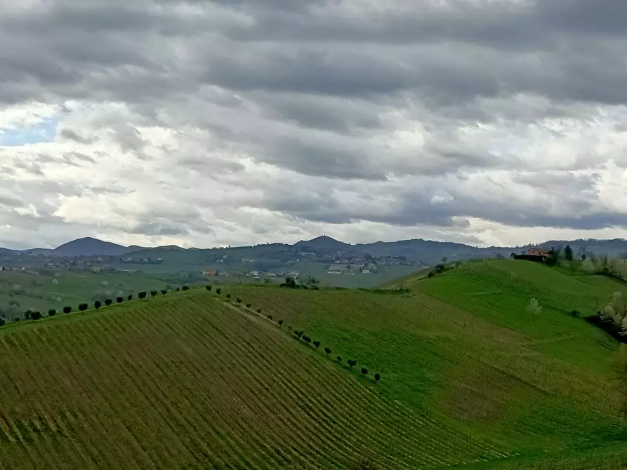 Immagine 43 di Porzione di casa in vendita  in Frazione Croce a Rovescala