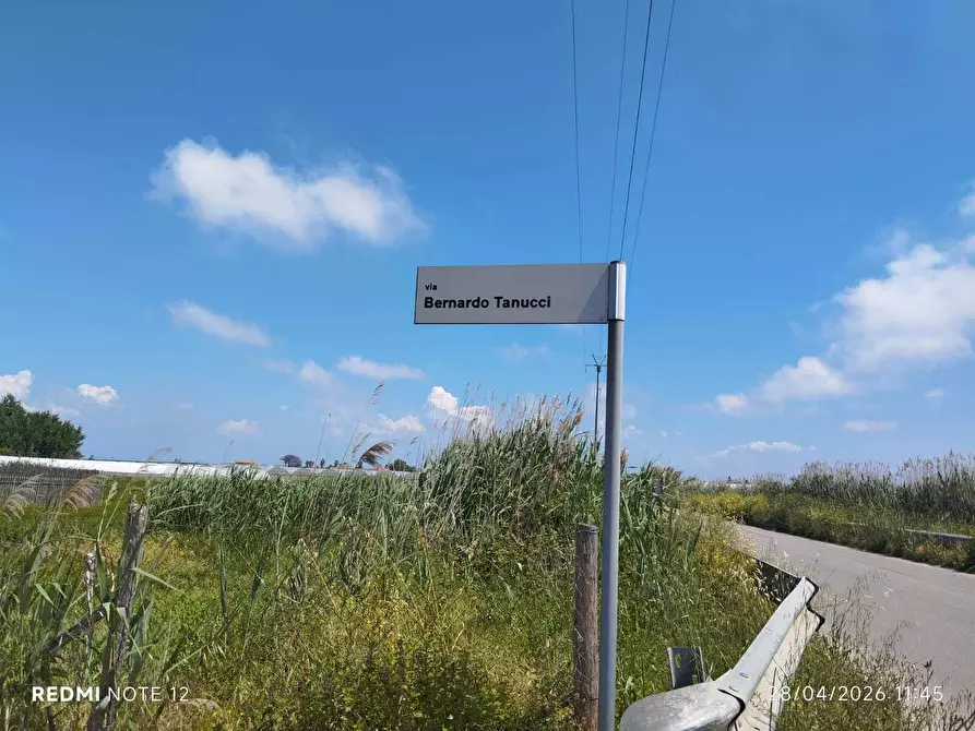 Immagine 8 di Terreno agricolo in vendita  in via bernardo tanucci a Eboli