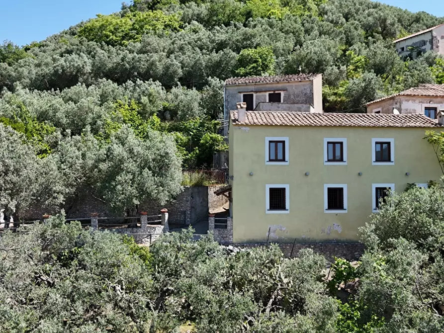 Immagine 3 di Terratetto in vendita  in via lecce 2 a Giffoni Valle Piana