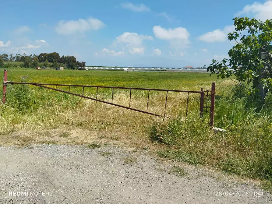 Immagine 22 di Terreno agricolo in vendita  in via bernardo tanucci a Eboli