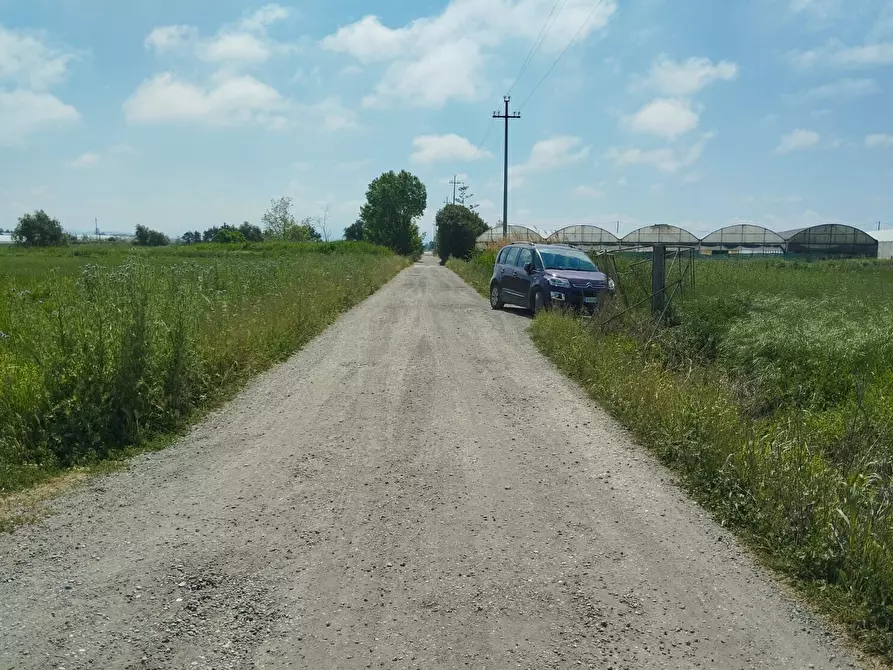 Immagine 13 di Terreno agricolo in vendita  in via bernardo tanucci a Eboli