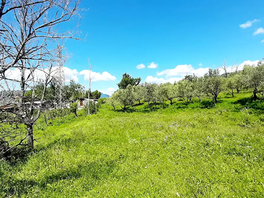 Immagine 9 di Terreno agricolo in vendita  in via contrada maiano a Montecorvino Rovella