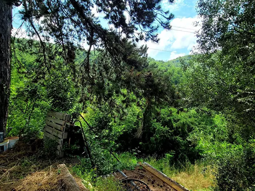 Immagine 21 di Pentalocale in vendita  in Via Campi 7 a Serra Riccò