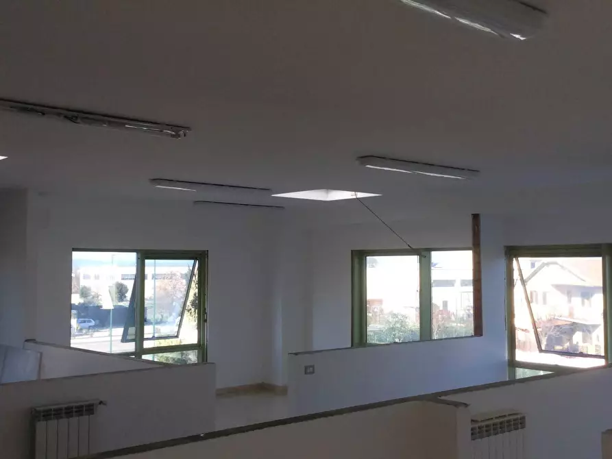 Immagine 24 di Attività artigianale in vendita  in Via dell'Airone 6A a Orbetello