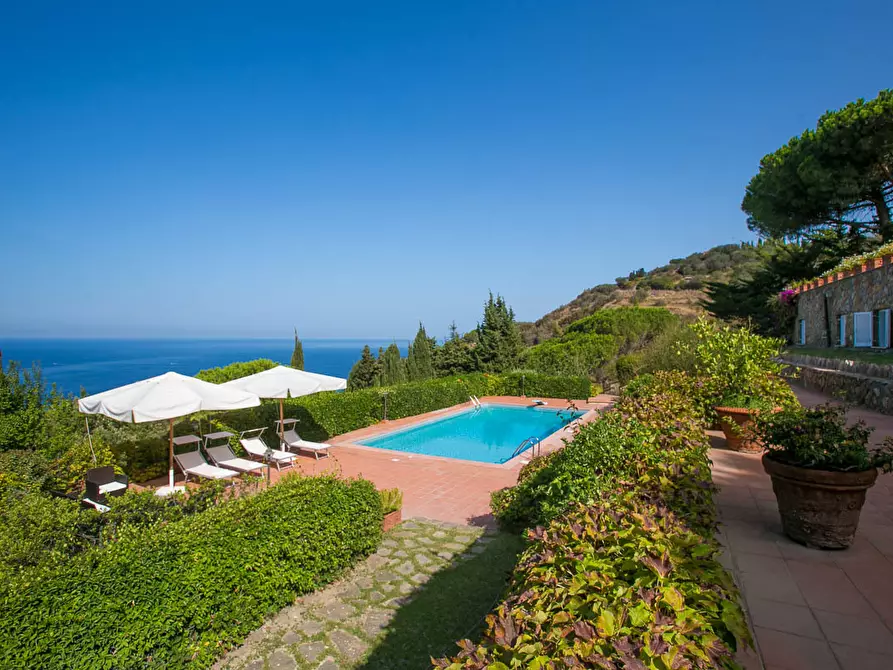 Immagine 1 di Villa in affitto  a Monte Argentario