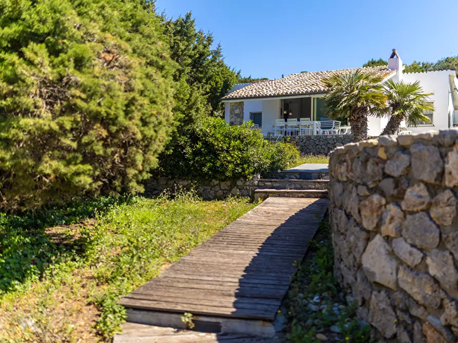 Immagine 2 di Villa in affitto  in Via delle Mimose snc a Orbetello
