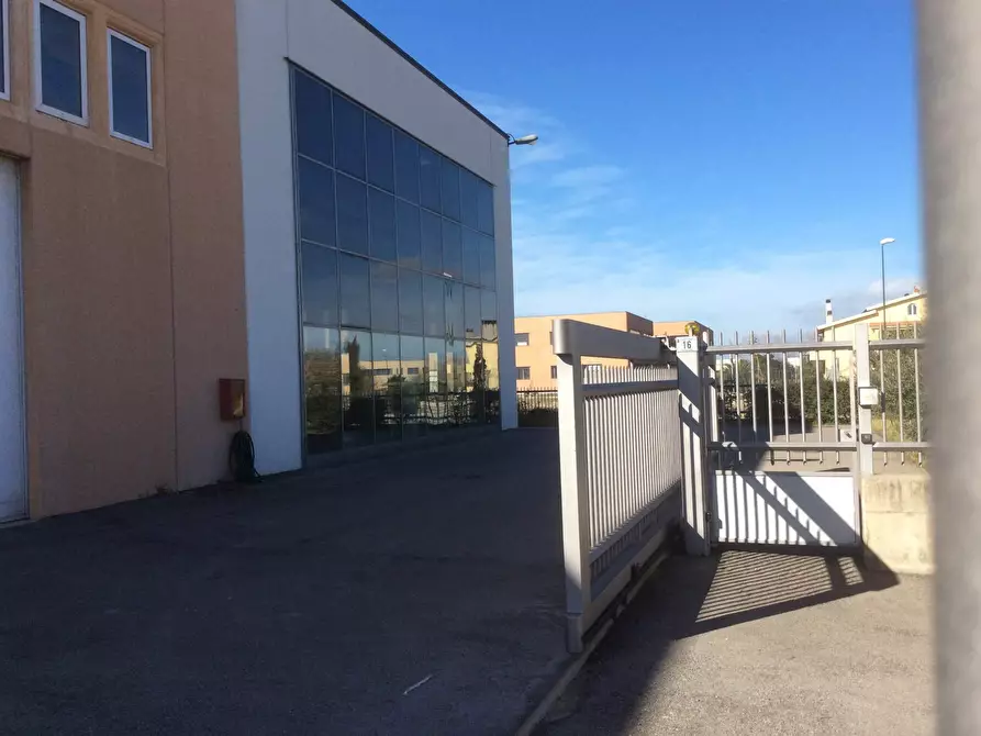 Immagine 3 di Attività artigianale in vendita  in Via dell'Airone 6A a Orbetello