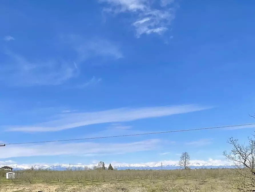 Immagine 15 di Rustico / casale in vendita  in Borgata Biarella 32 a Dogliani