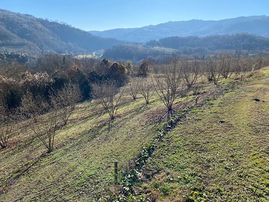Immagine 29 di Rustico / casale in vendita  in Frazione Robertiero 14 a Gorzegno