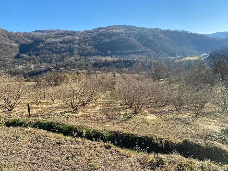 Immagine 31 di Rustico / casale in vendita  in Frazione Robertiero 14 a Gorzegno