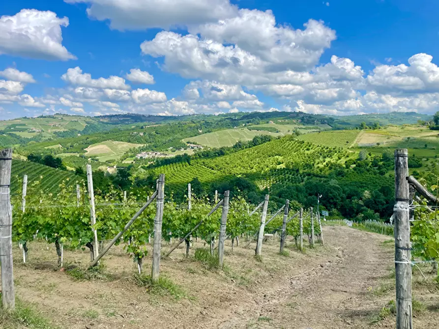 Immagine 1 di Terreno agricolo in vendita  in Via Roma 8 a Serralunga D'alba