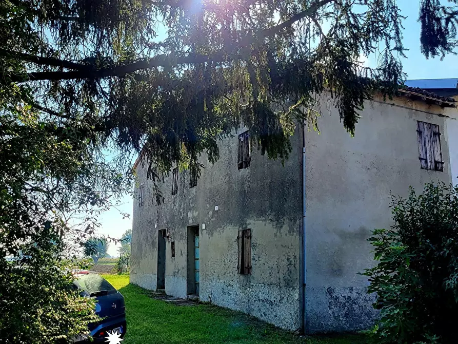 Immagine 13 di Terratetto in vendita  in Via Ponticella 2 a Sissa Trecasali