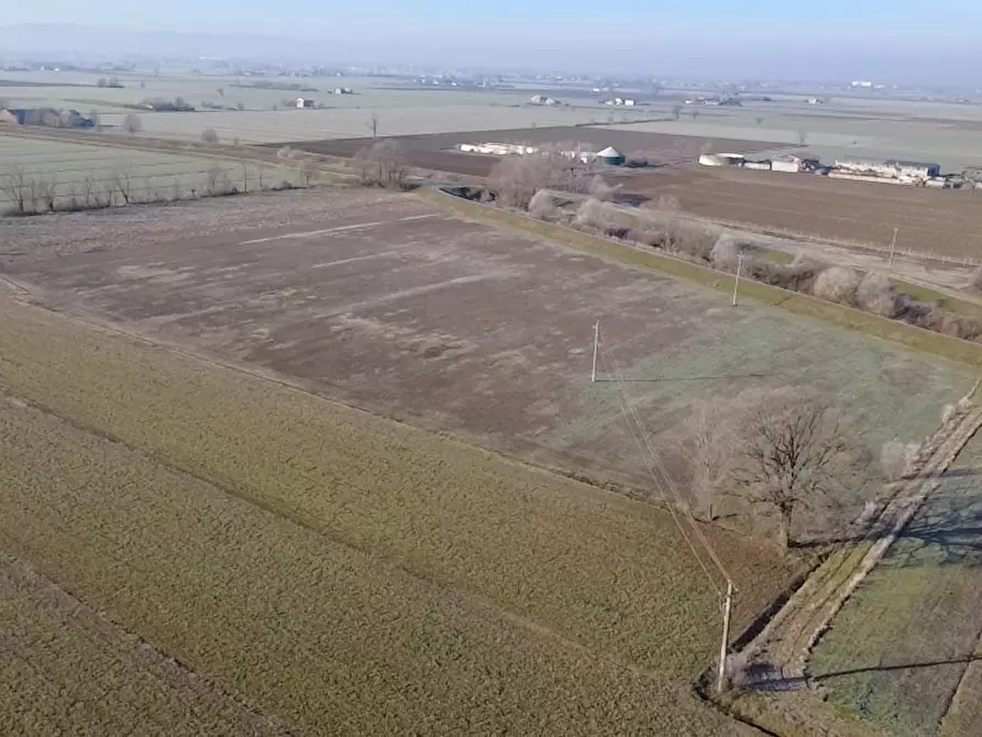 Immagine 3 di Terreno agricolo in vendita  in Strada Colmignola 2 a San Secondo Parmense