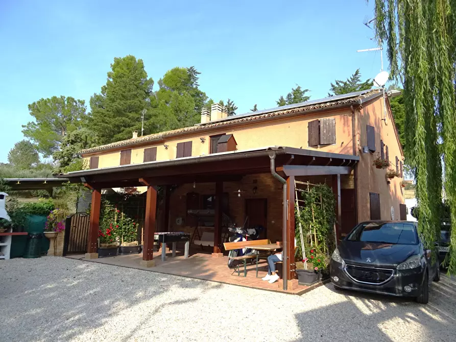 Immagine 9 di Rustico / casale in vendita  a Ostra Vetere